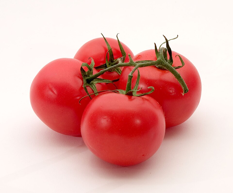 Solanum lycopersicum